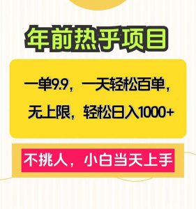 一单9.9，一天百单无上限，不挑人，小白当天上手，轻松日入1000+-星河轻创