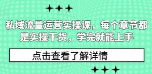私域流量运营实操课,每个章节都是实操干货,学完就能上手-星河轻创