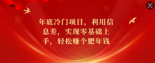 年底冷门项目，利用信息差，实现零基础上手，轻松赚个肥年钱【揭秘】-星河轻创