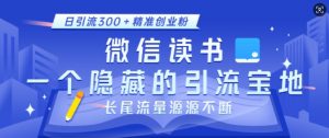 微信读书，一个隐藏的引流宝地，不为人知的小众打法，日引流300+精准创业粉，长尾流量源源不断-星河轻创