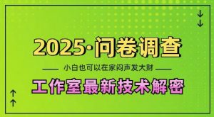 2025问卷调查最新工作室技术解密：一个人在家也可以闷声发大财，小白一天2张，可矩阵放大【揭秘】-星河轻创