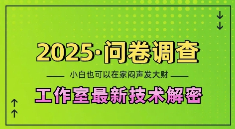 2025问卷调查最新工作室技术解密：一个人在家也可以闷声发大财，小白一天2张，可矩阵放大【揭秘】-星河轻创