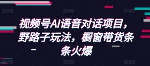 视频号AI语音对话项目，野路子玩法，橱窗带货条条火爆-星河轻创