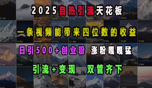 2025自热引流天花板，一条视频能带来四位数的收益，引流+变现双管齐下，日引500+创业粉，涨粉嘎嘎猛-星河轻创