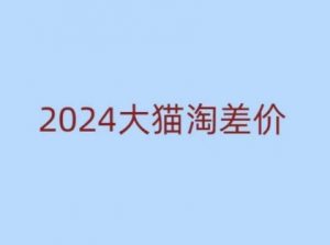 2024版大猫淘差价课程，新手也能学的无货源电商课程-星河轻创