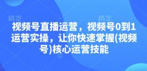 视频号直播运营，视频号0到1运营实操，让你快速掌握(视频号)核心运营技能-星河轻创