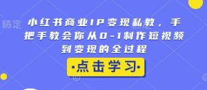 小红书商业IP变现私教，手把手教会你从0-1制作短视频到变现的全过程-星河轻创