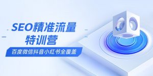 SEO精准流量特训营,百度微信抖音小红书全覆盖,带你搞懂搜索优化核心技巧-星河轻创