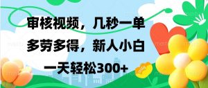 审核视频，几秒一单，多劳多得，新人小白一天轻松300+-星河轻创