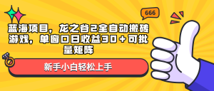 蓝海项目，龙之谷2全自动搬砖游戏，单窗口日收益30＋可批量矩阵-星河轻创