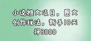 小说推文项目，图文创作玩法，新手10天挣3000-星河轻创