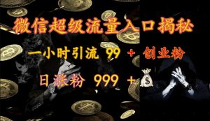 微信超级流量入口揭秘：一小时引流 99 + 创业粉，日涨粉 999 +-星河轻创
