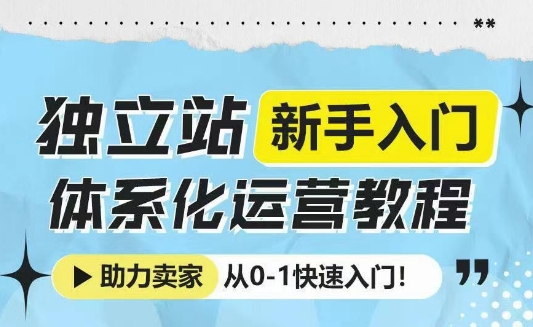 独立站新手入门体系化运营教程，助力独立站卖家从0-1快速入门!-星河轻创