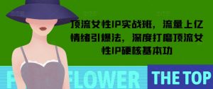 顶流女性IP实战班，流量上亿情绪引爆法，深度打磨顶流女性IP硬核基本功-星河轻创