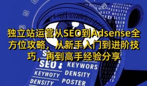 独立站运营从SEO到Adsense全方位攻略，从新手入门到进阶技巧，再到高手经验分享-星河轻创