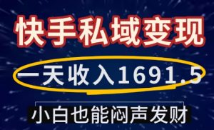 一天收入1691.5,快手私域变现,小白也能闷声发财-星河轻创