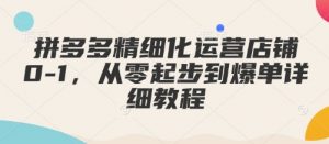 拼多多精细化运营店铺0-1，从零起步到爆单详细教程-星河轻创