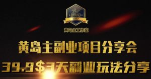 黄岛主副业分享会1期：3天3个副业玩法，速度上车-星河轻创
