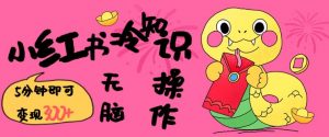 小红书冷知识账号，无脑复制粘贴，5分钟即可变现3张-星河轻创