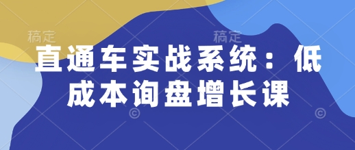 直通车实战系统：低成本询盘增长课，让个人通过技能实现升职加薪，让企业低成本获客，订单源源不断-星河轻创