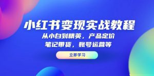 小红书变现实战教程：从小白到精英，产品定价，笔记带货，账号运营等-星河轻创