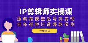 IP剪辑师实操课：涨粉跑模型起号到变现，挂车视频打造爆款带货-星河轻创