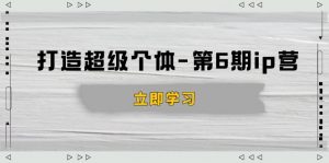 打造 超级个体-第6期ip营：商业认知,产品设计,成交演练,解决知识变现难题-星河轻创