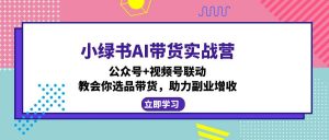 小绿书AI带货实战营：公众号+视频号联动，教会你选品带货，助力副业增收-星河轻创