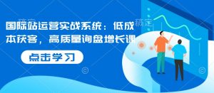 国际站运营实战系统：低成本获客，高质量询盘增长课-星河轻创