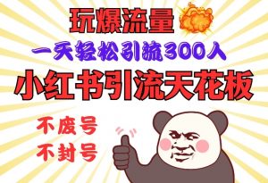 小红书引流天花板，玩爆流量，一天轻松引流300人，安全操作-星河轻创