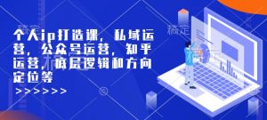 个人ip打造课，私域运营，公众号运营，知乎运营，底层逻辑和方向定位等-星河轻创