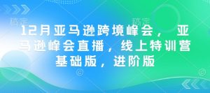 12月亚马逊跨境峰会， 亚马逊峰会直播，线上特训营基础版，进阶版-星河轻创