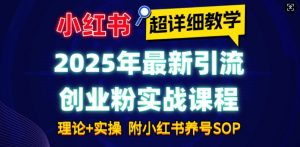 2025年最新小红书引流创业粉实战课程【超详细教学】小白轻松上手，月入1W+，附小红书养号SOP-星河轻创