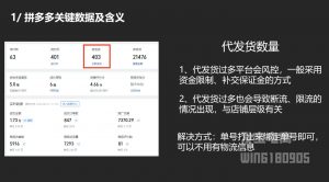 纪主任·拼多多年费会员(更新2025年1月)-星河轻创