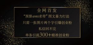 小红书神奇图片引流法，只需一张图，就能单条笔记凭借此方法，轻松引流 300 + 精准创业粉-星河轻创