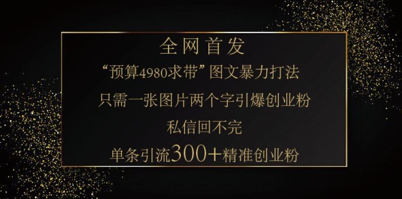 小红书神奇图片引流法，只需一张图，就能单条笔记凭借此方法，轻松引流 300 + 精准创业粉-星河轻创
