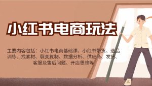 小红书电商玩法：带货/选品/找素材/裂变/数据分析/供应商/发货/售后/开店思维等-星河轻创