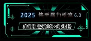 2025年快手6.0保姆级教程震撼来袭，单日狂吸300+精准创业粉-星河轻创