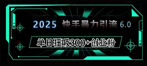 2025年快手6.0保姆级教程震撼来袭，单日狂吸300+精准创业粉-星河轻创