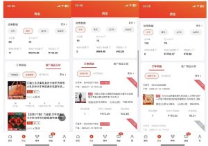 2025最新京东蓝海项目，0 门槛日入 1k+，小白宝妈轻松上手【揭秘】-星河轻创