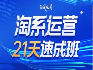 淘系运营21天速成班35期，年前最后一波和2025方向-星河轻创