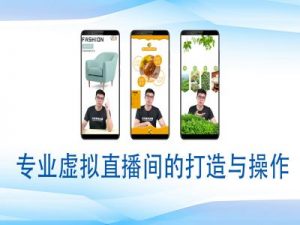个人虚拟直播间的搭建与操作,专业虚拟直播间的打造与操作-星河轻创