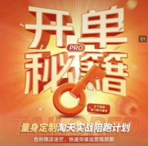 淘宝开单秘籍PRO，量身定制淘天实战陪跑计划，告别做店迷茫、快速突破运营瓶颈期-星河轻创
