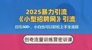 2025最新暴力引流方法，招聘平台一天引流300+，日变现多张，专业人士力荐-星河轻创