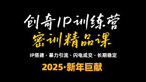 2025年“知识付费IP训练营”小白避坑年赚百万，暴力引流，闪电成交-星河轻创