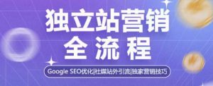 独立站营销全流程，Google SEO优化，社媒站外引流，独家营销技巧-星河轻创