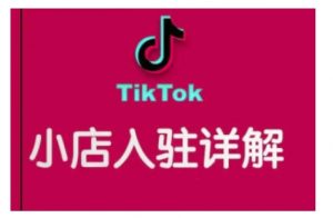 TikTok跨境小店运营全攻略，帮助你独立运营TK跨境小店的能力，实现销量增长-星河轻创