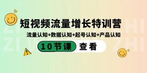 短视频流量增长特训营：流量认知+数据认知+起号认知+产品认知（10节课）-星河轻创