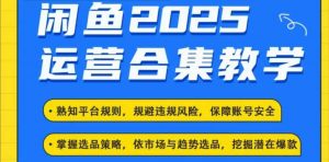 2025闲鱼电商运营全集，2025最新咸鱼玩法-星河轻创