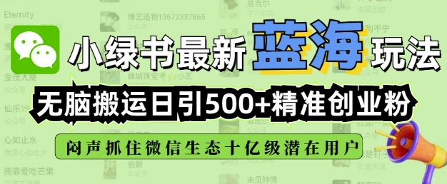 小绿书无脑搬运引流,全自动日引500精准创业粉,微信生态内又一个闷声发财的机会-星河轻创